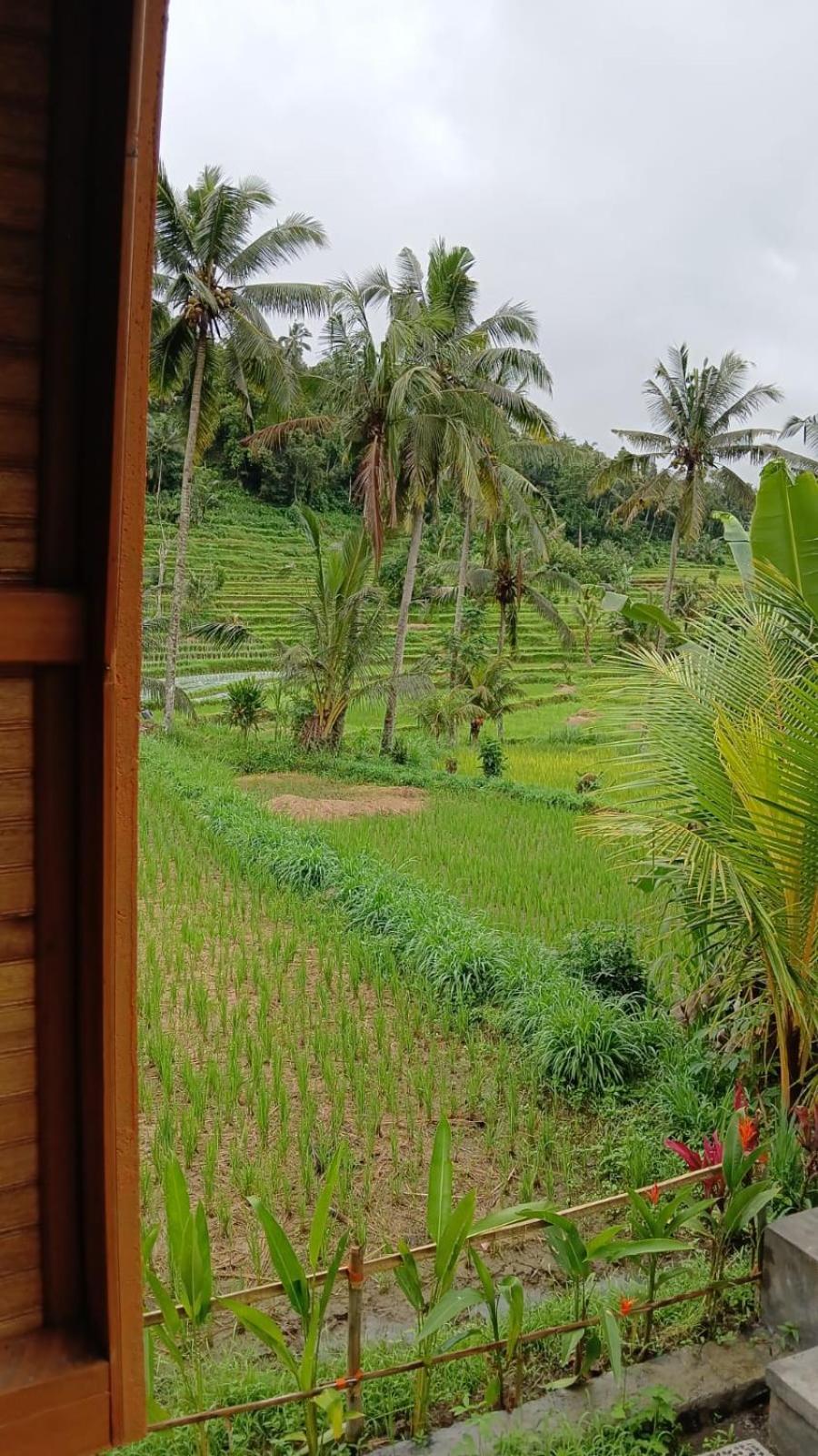 Lumbung Umaluah Villa Sidemen  Exterior foto